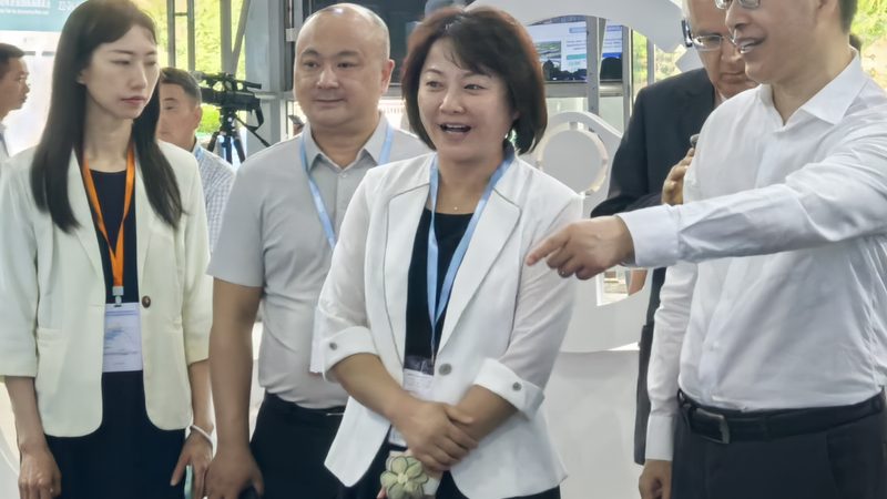 广州汽车零部件批发价格背后的考量因素**